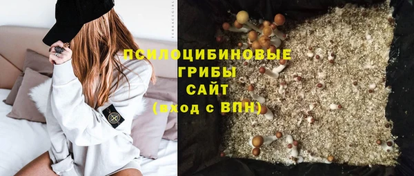 дмт Заполярный