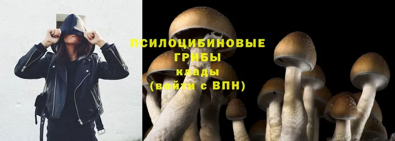 Галлюциногенные грибы MAGIC MUSHROOMS  Кирсанов 