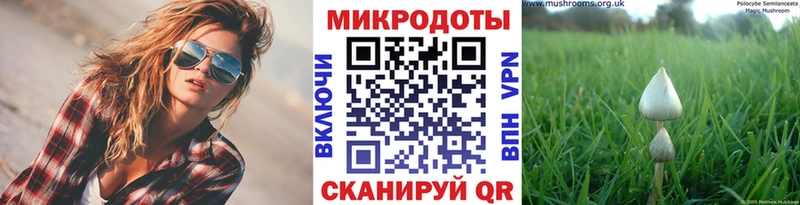 где продают наркотики  Кирсанов  blacksprut tor  Псилоцибиновые грибы Cubensis 